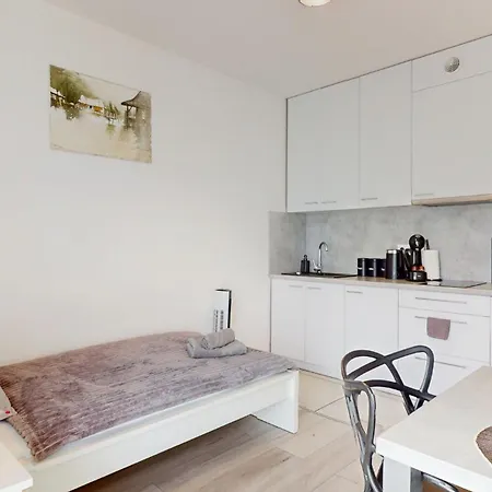 Fibra Bounty Apartmán Rybnik (Silesia)